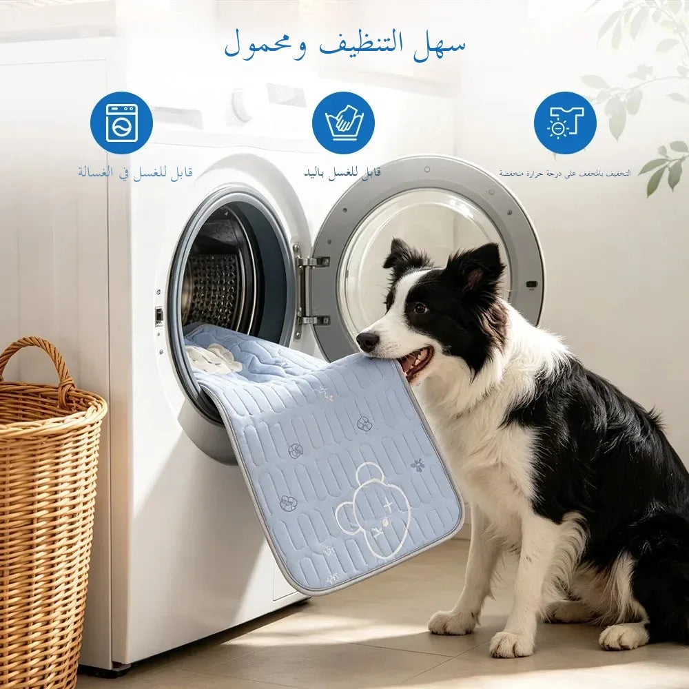 Tamm Store Kuwait